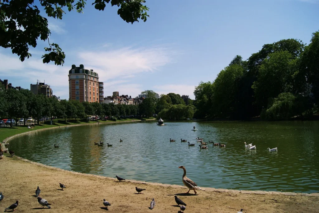 Gli stagni di Ixelles in estate, con anatre e oche sulla riva